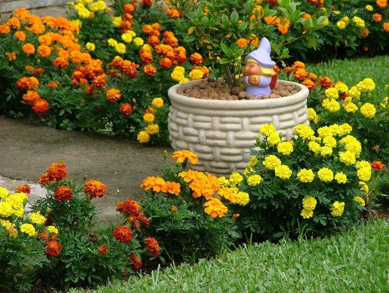 como-fazer-um-jardim-simples-barato-02